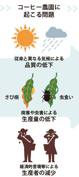 エシカルコーヒーとは？スターバックスが取り組む、コーヒーが消える未来への挑戦