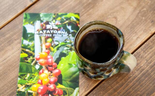 沖縄でコーヒー豆を栽培？沖縄のコーヒー生産事情